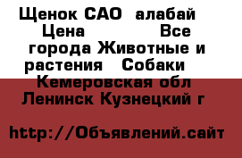Щенок САО (алабай) › Цена ­ 10 000 - Все города Животные и растения » Собаки   . Кемеровская обл.,Ленинск-Кузнецкий г.